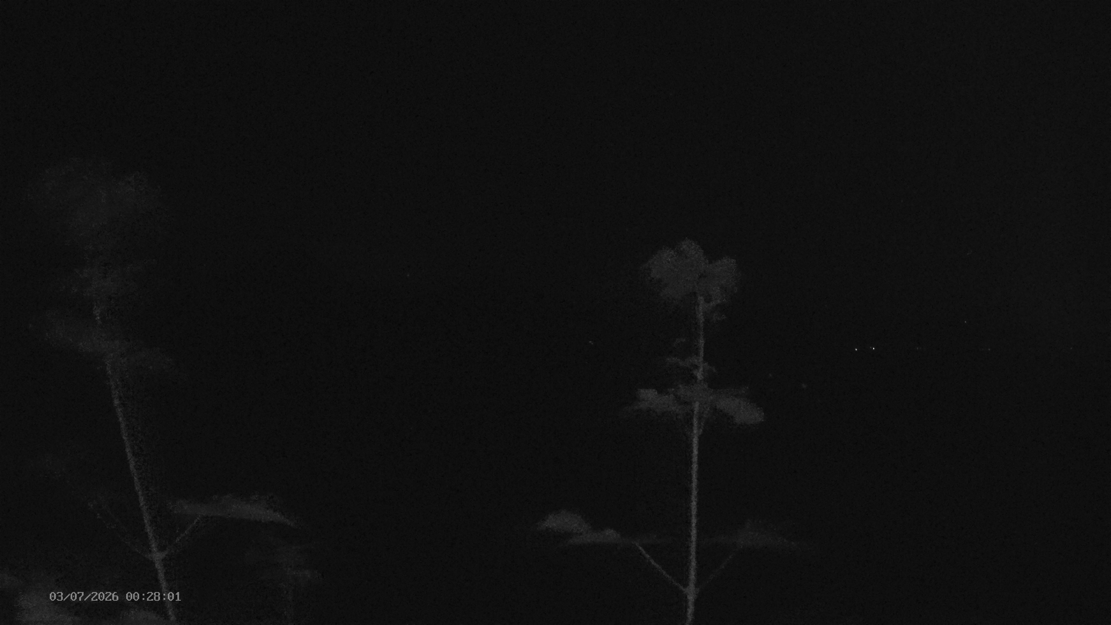 Webcam - Polevsko